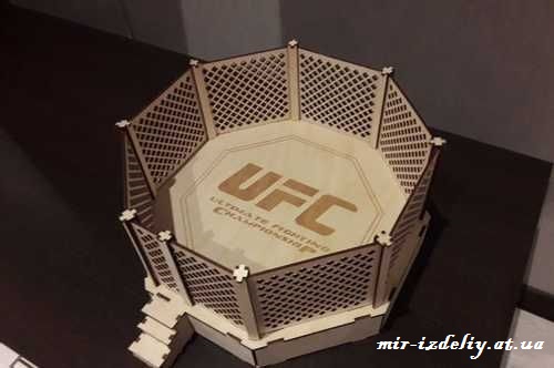 Арена UFC из фанеры